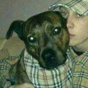 Meet your Posher, Leland